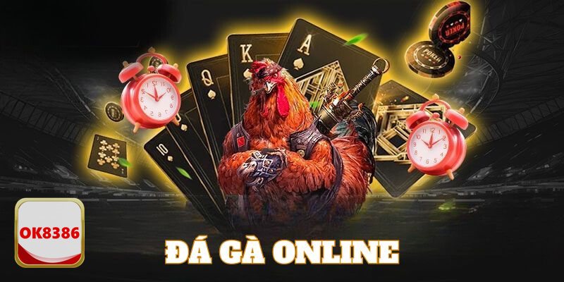 Đá Gà Đòn - Hình Ảnh Sắc Nét, Truyền Hình Trực Tiếp Ổn Định